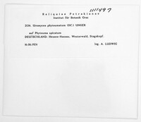 Image Associated With the Occurence